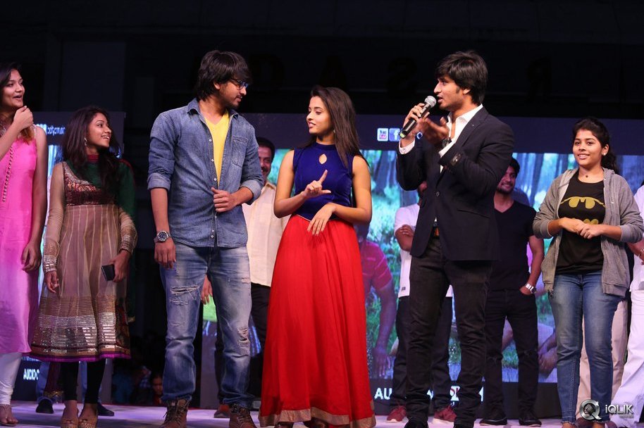 Seethamma-Andaalu-Raamayya-Sithraalu-Platinum-Disc-Function